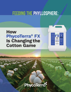 PhycoTerra-eBook-Cover-232x300