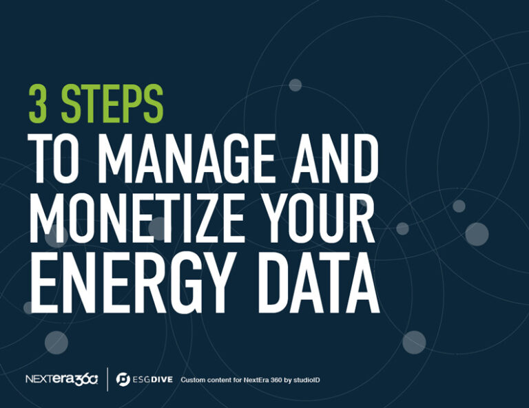 3 Steps to Managing and Monetizing Your Energy Data