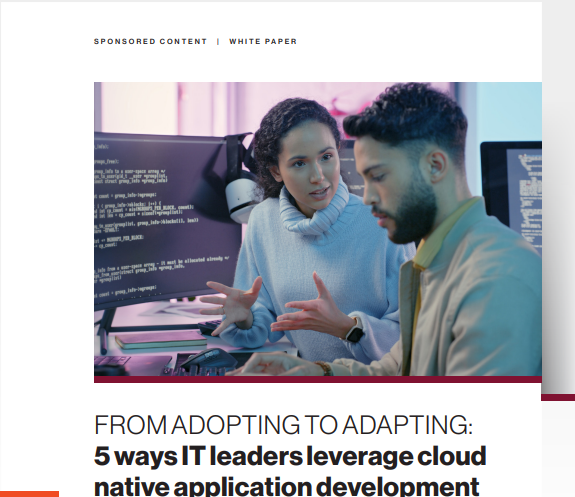5 ways IT leaders leverage cloud native application development